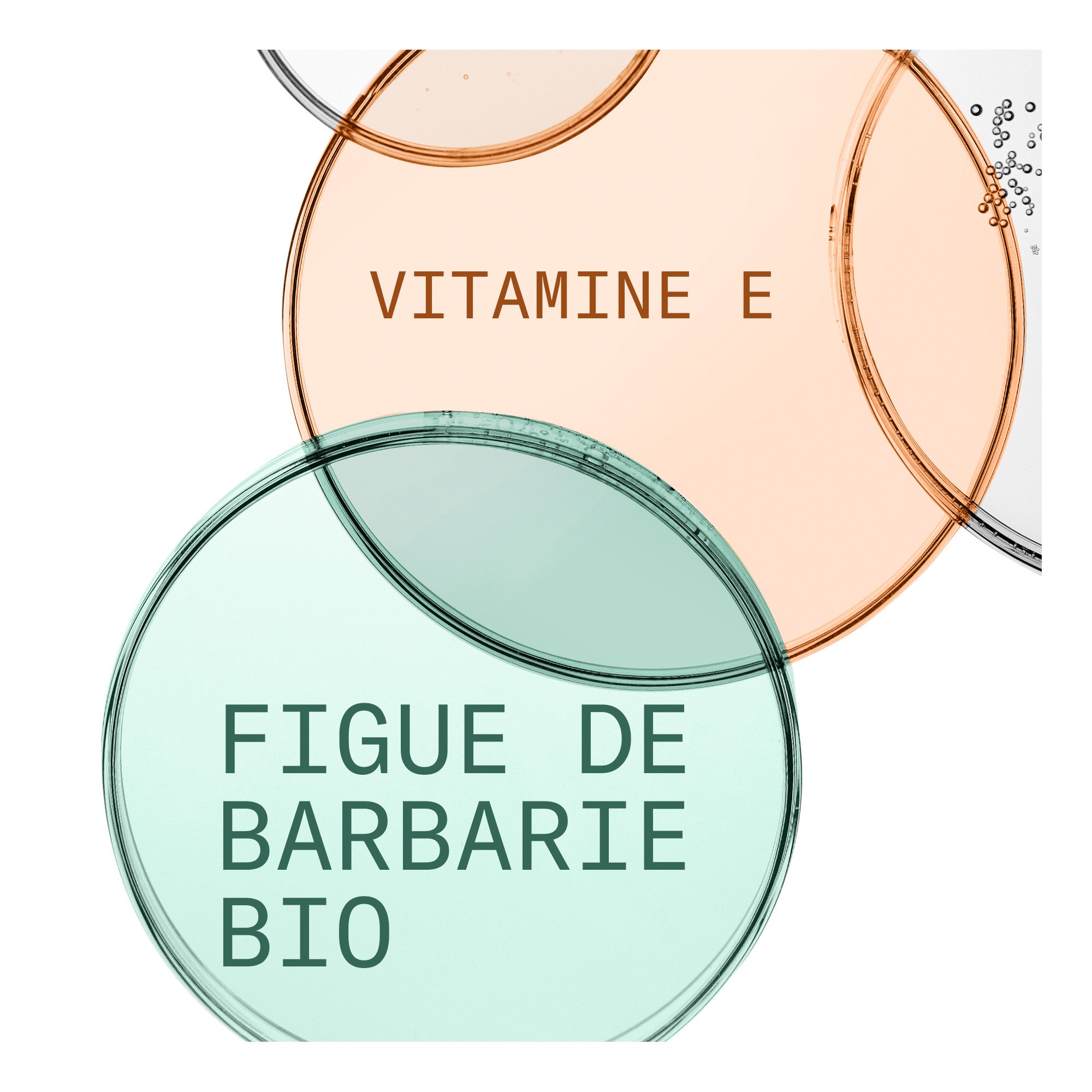 Actifs gélée démaquillante Figue de barbarie et vitamine C-Image6