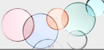 actifs-eno differents-actifs-eno